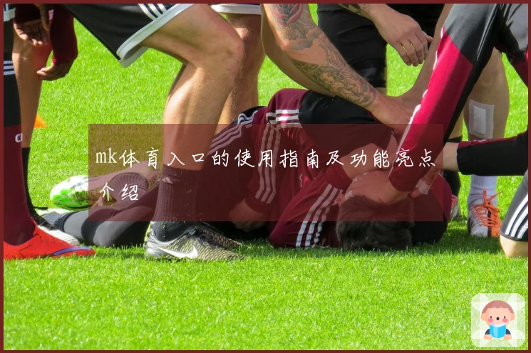 mk体育入口的使用指南及功能亮点介绍