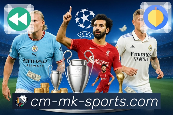 mk体育APP 封面图